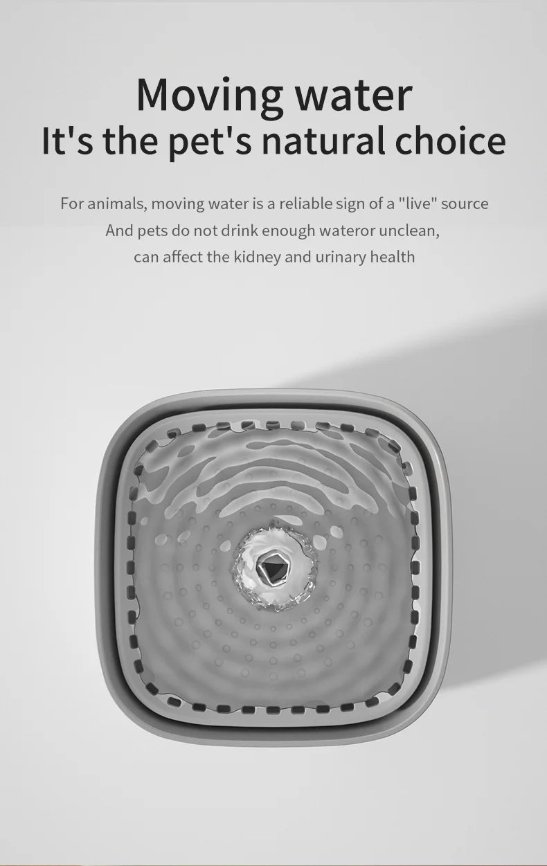 Large Capacity Pet Recirculating Water Fountain Dispenser Bowl