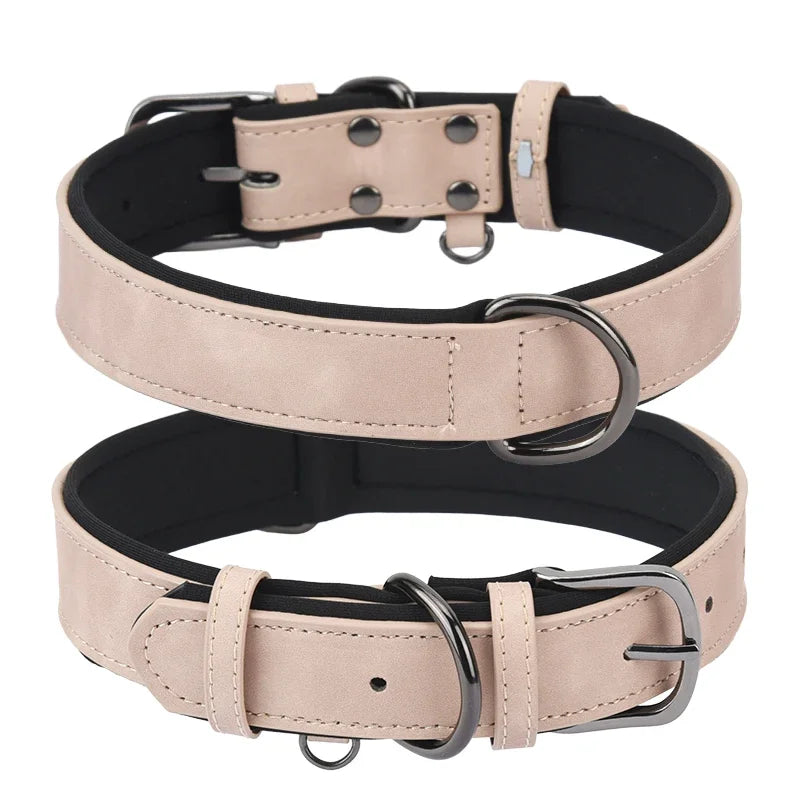 Color Pop Padded Leather Dog Collar