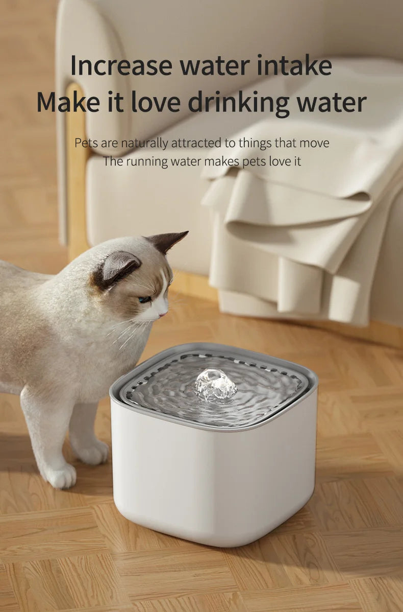 Large Capacity Pet Recirculating Water Fountain Dispenser Bowl