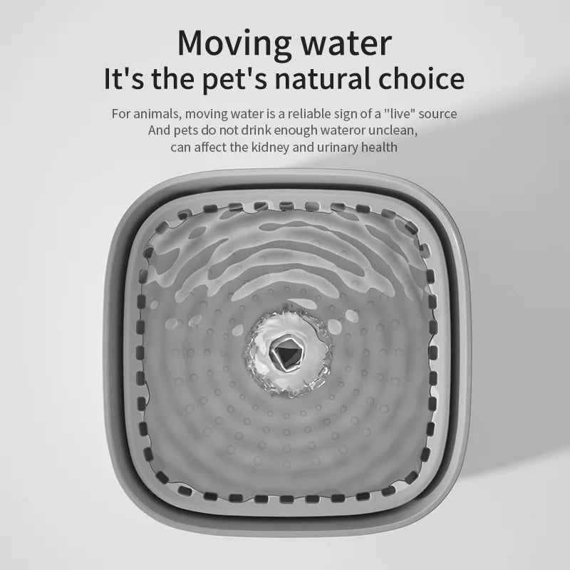Large Capacity Pet Recirculating Water Fountain Dispenser Bowl