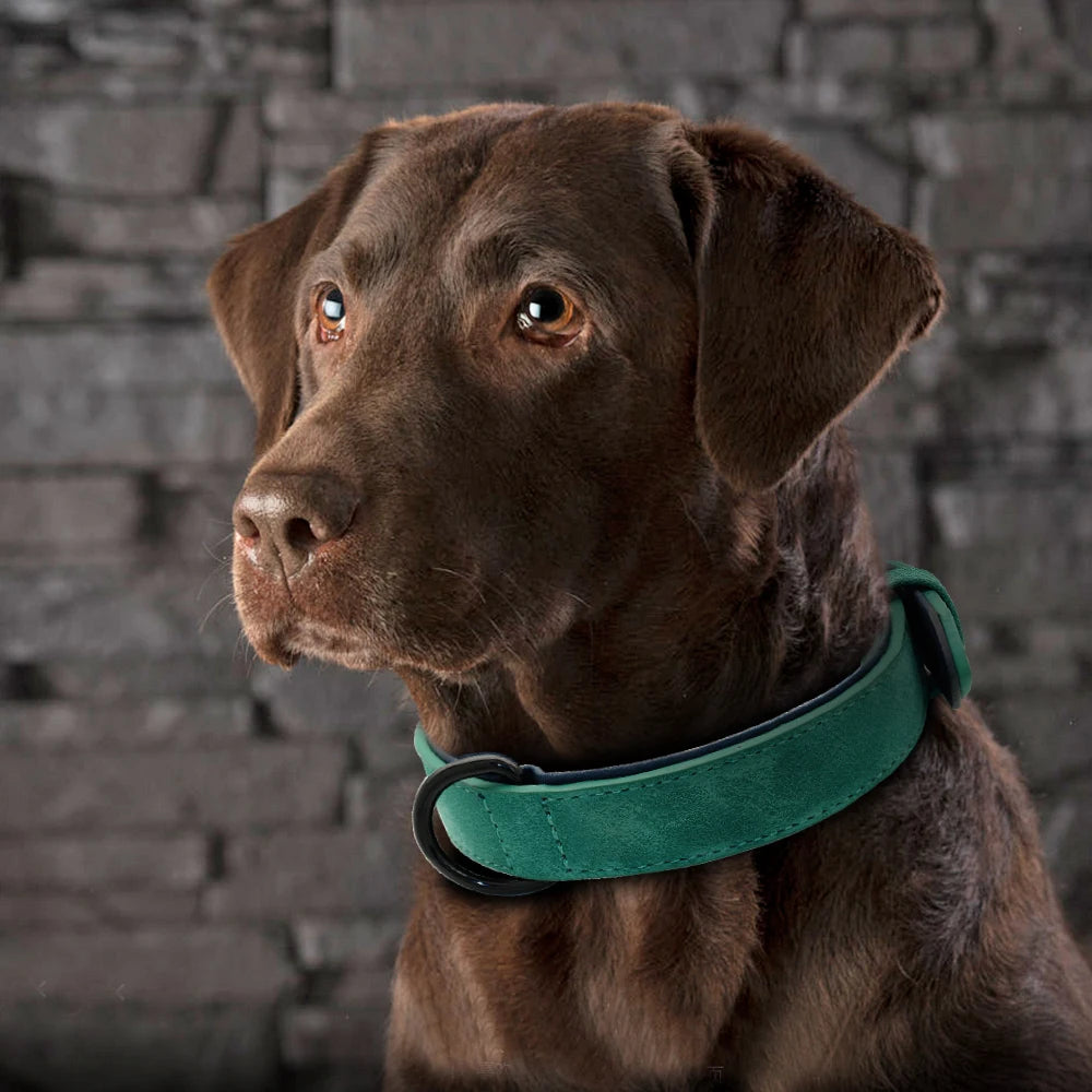 Durable Soft Padded Leather Dog Collar