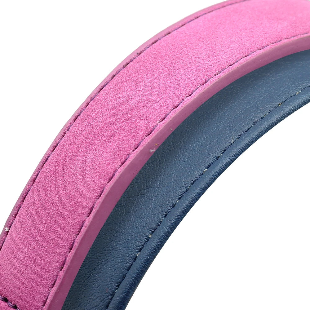 Durable Soft Padded Leather Dog Collar