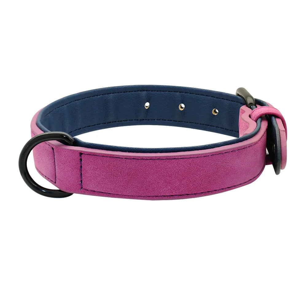 Durable Soft Padded Leather Dog Collar