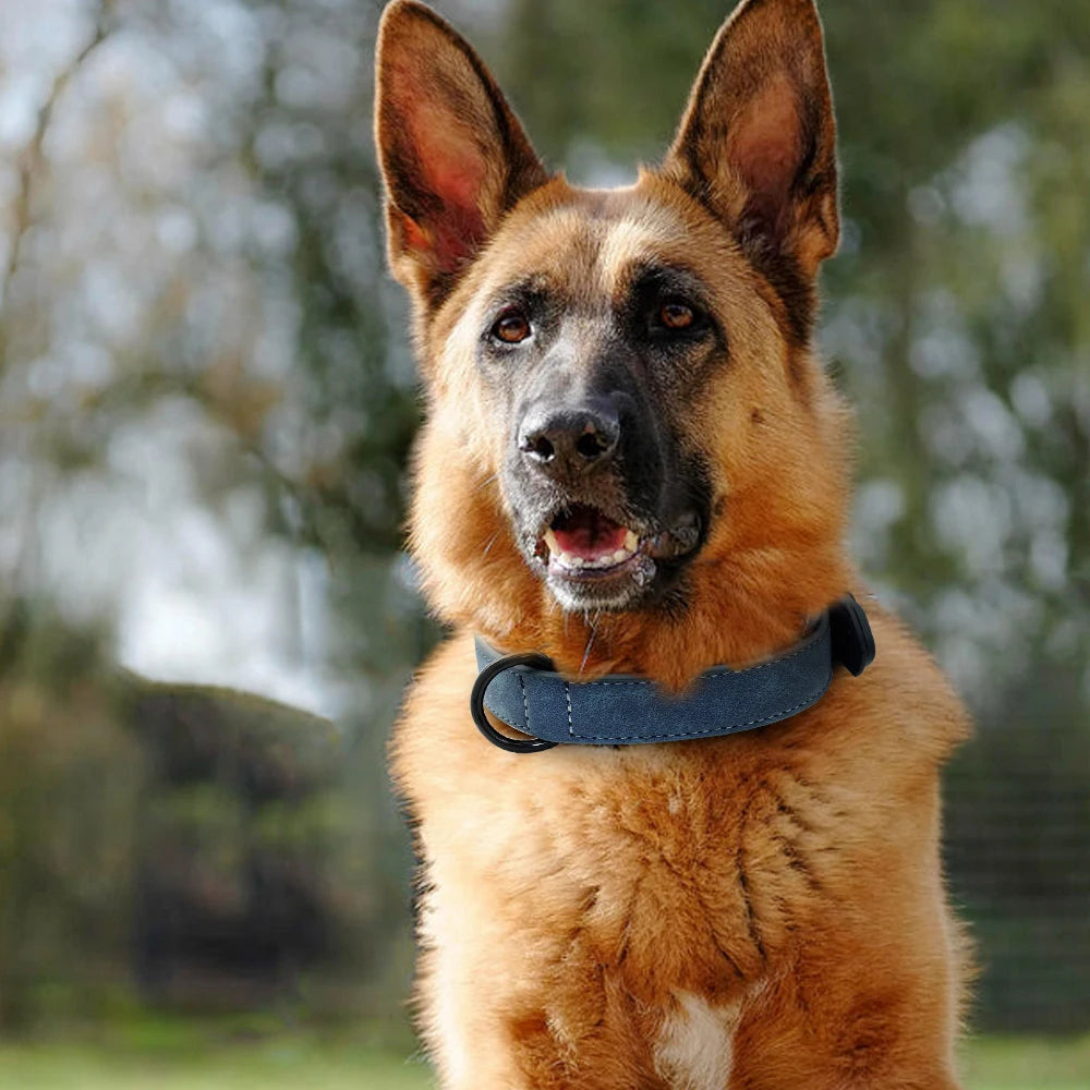 Durable Soft Padded Leather Dog Collar
