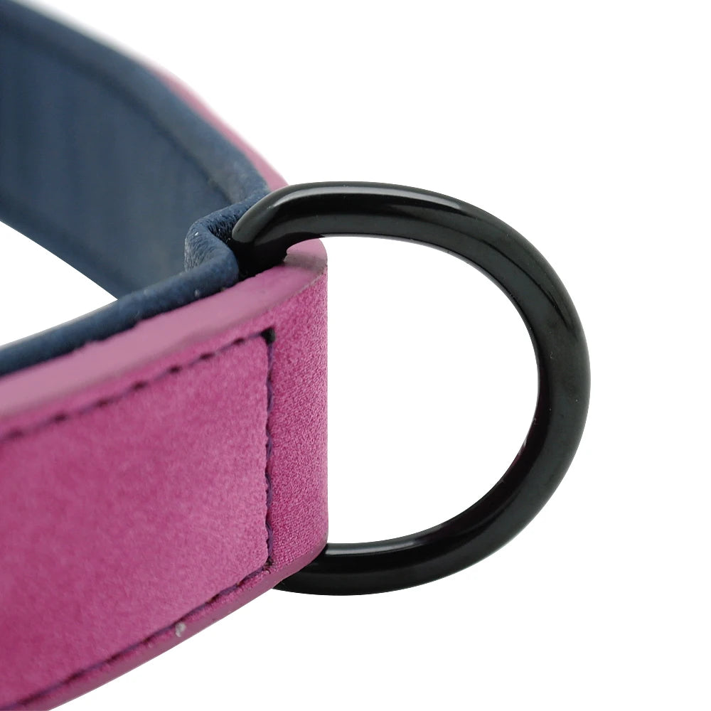 Durable Soft Padded Leather Dog Collar