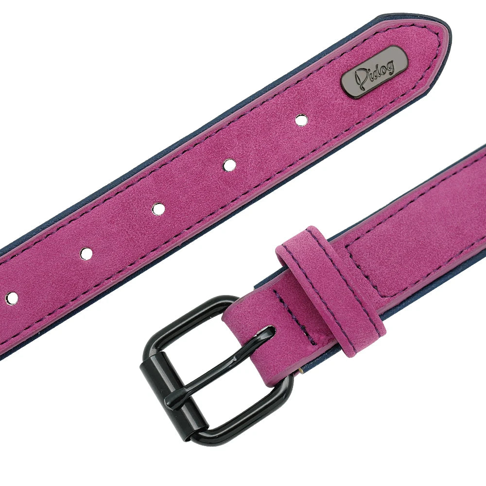 Durable Soft Padded Leather Dog Collar