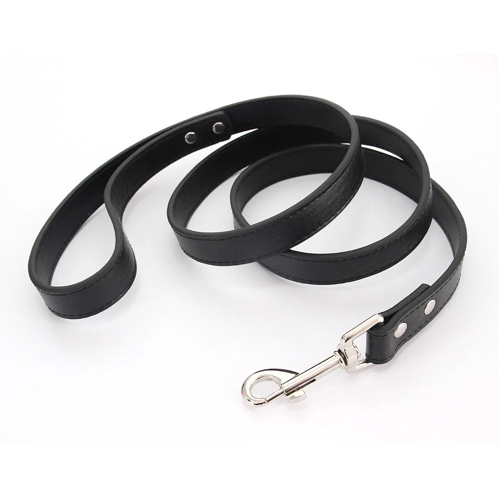 Color Pop Basics Leather Leash Lead