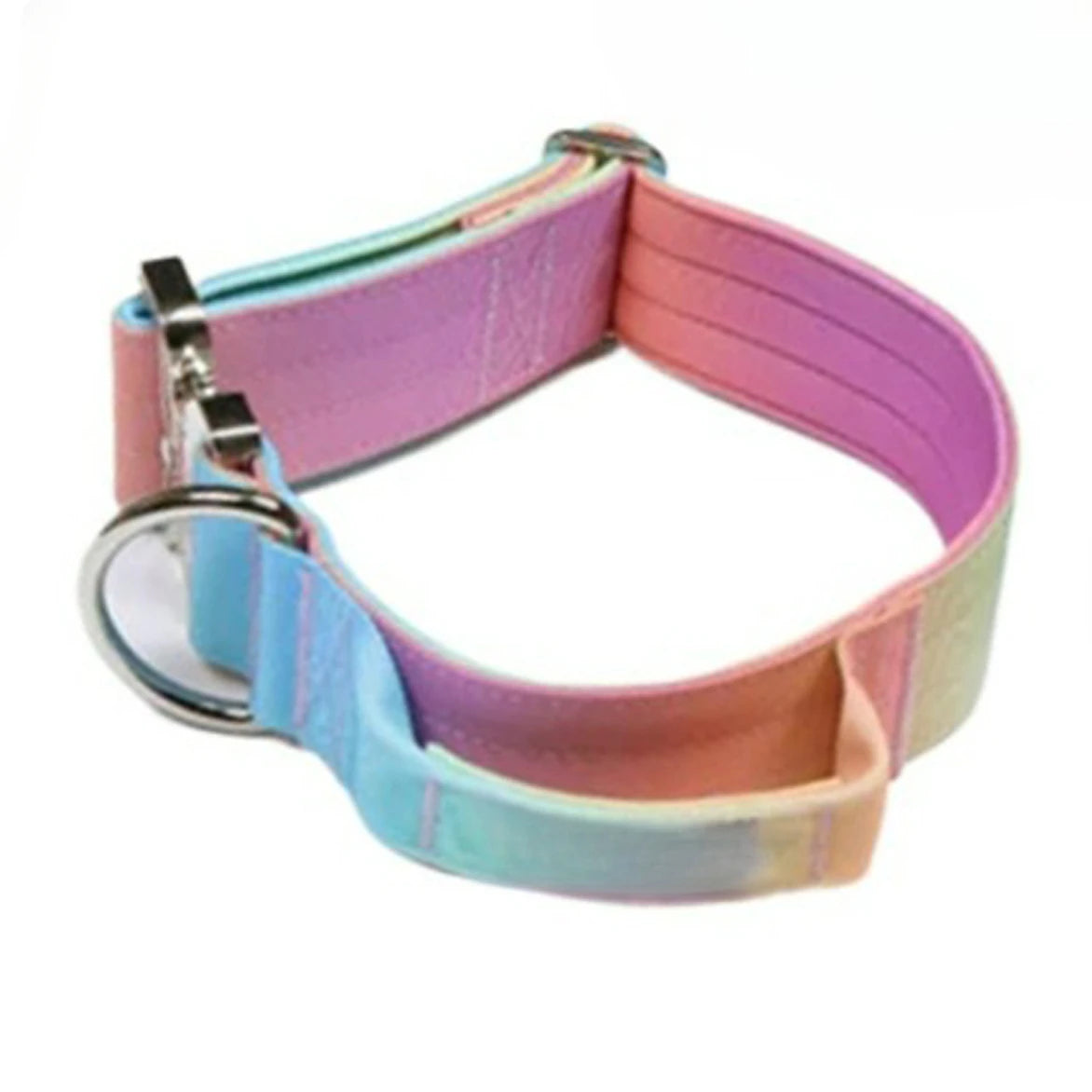 Gradient Vibes Nylon Wide Handled Pet Collar and Leash Set