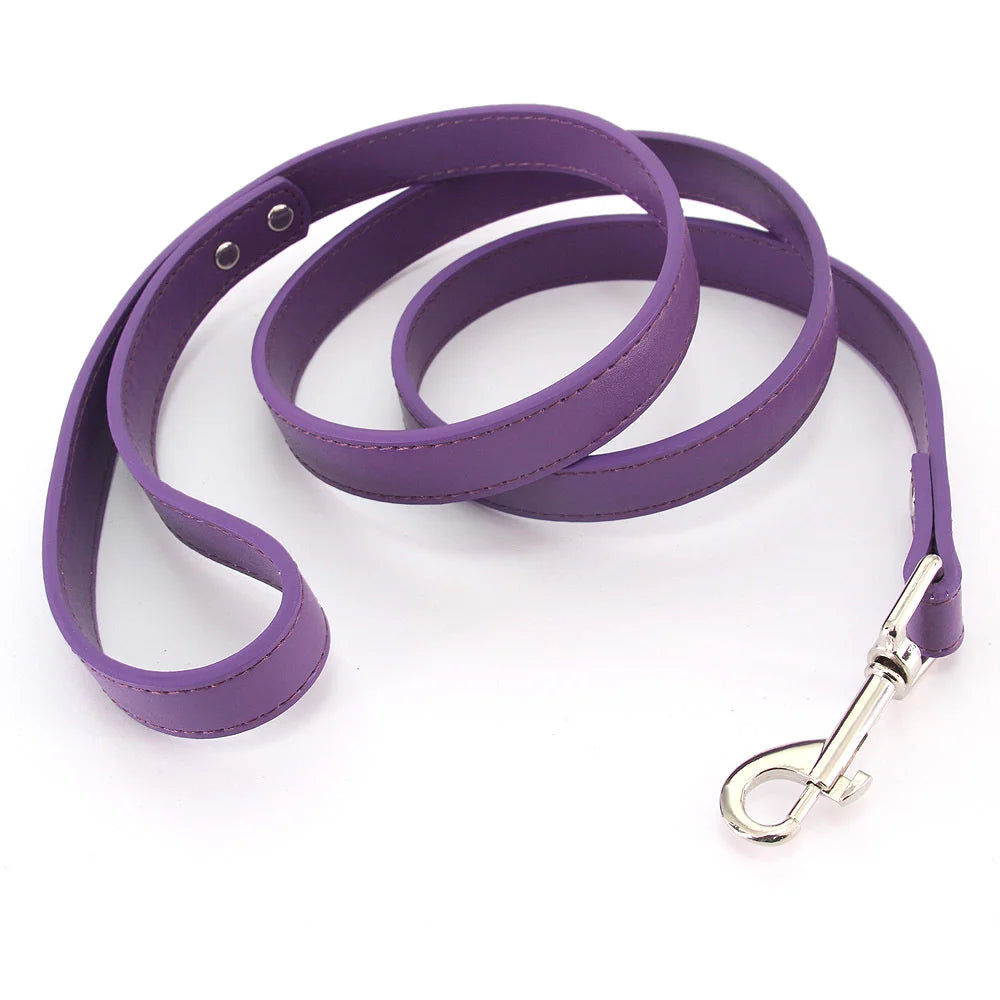 Color Pop Basics Leather Leash Lead