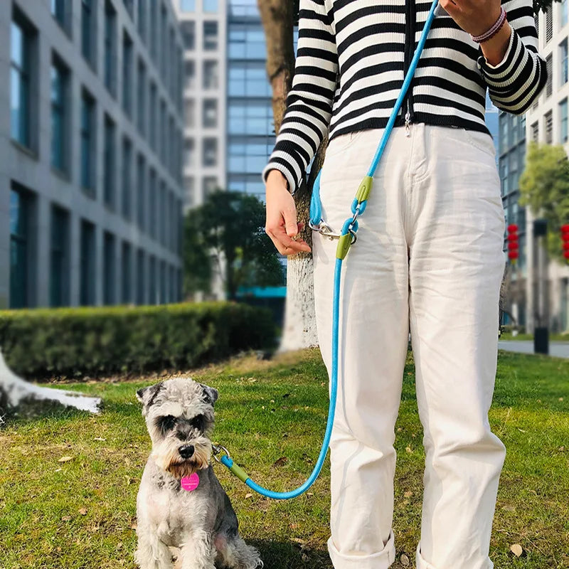 Hands Free Reflective Nylon Traction Walking Rope Leash