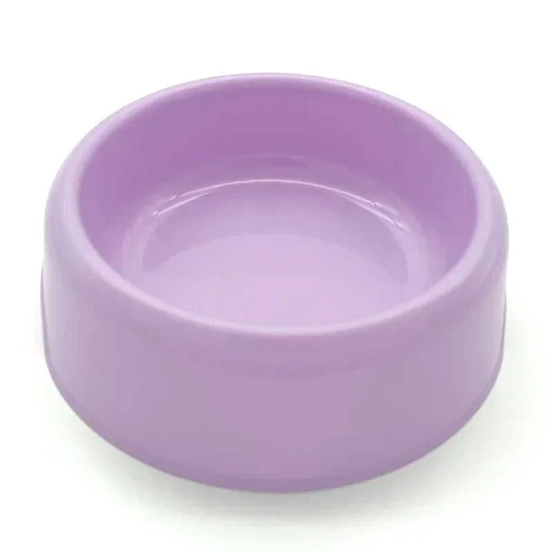 Color Pop Eco Friendly Pet Bowl