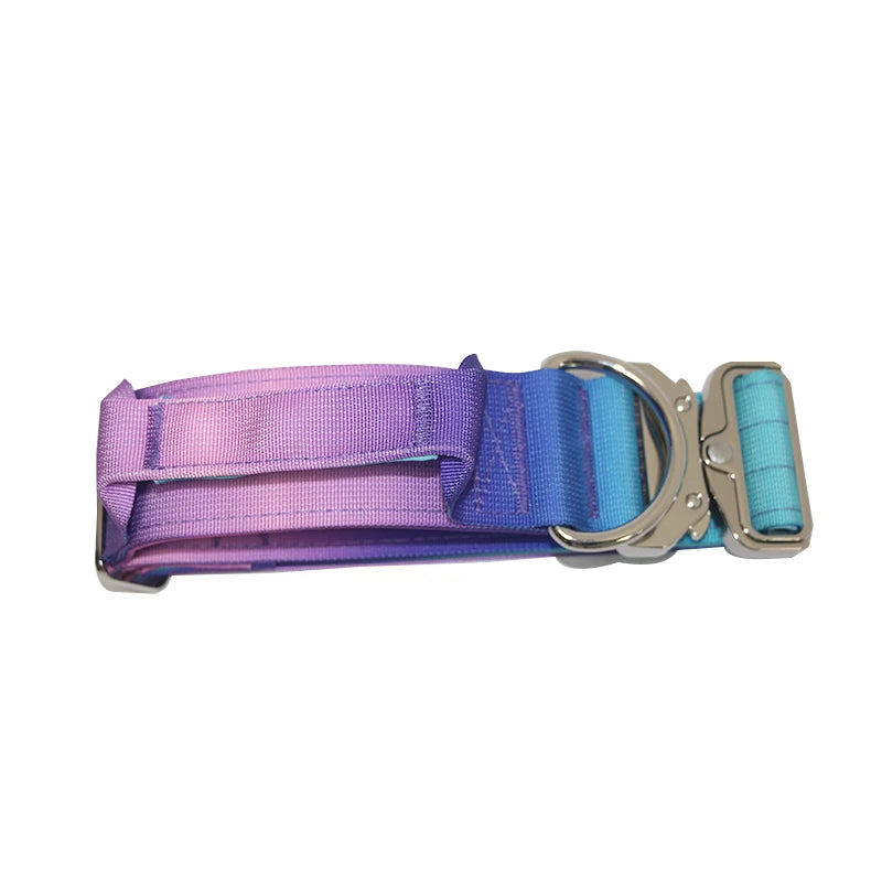 Gradient Vibes Nylon Wide Handled Pet Collar and Leash Set
