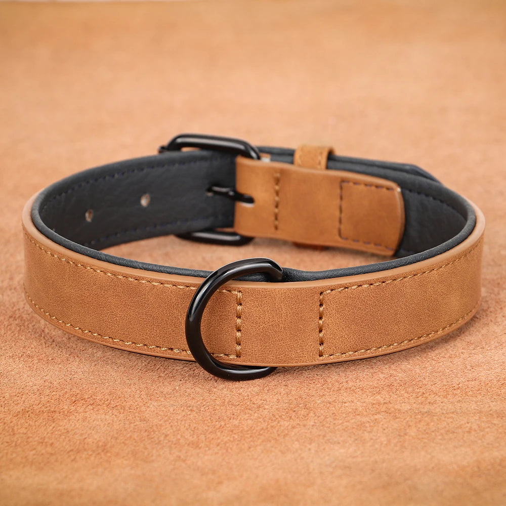 Durable Soft Padded Leather Dog Collar