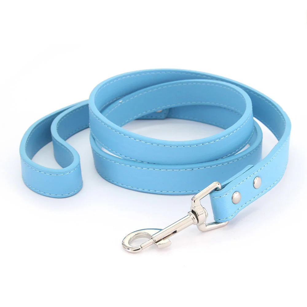 Color Pop Basics Leather Leash Lead