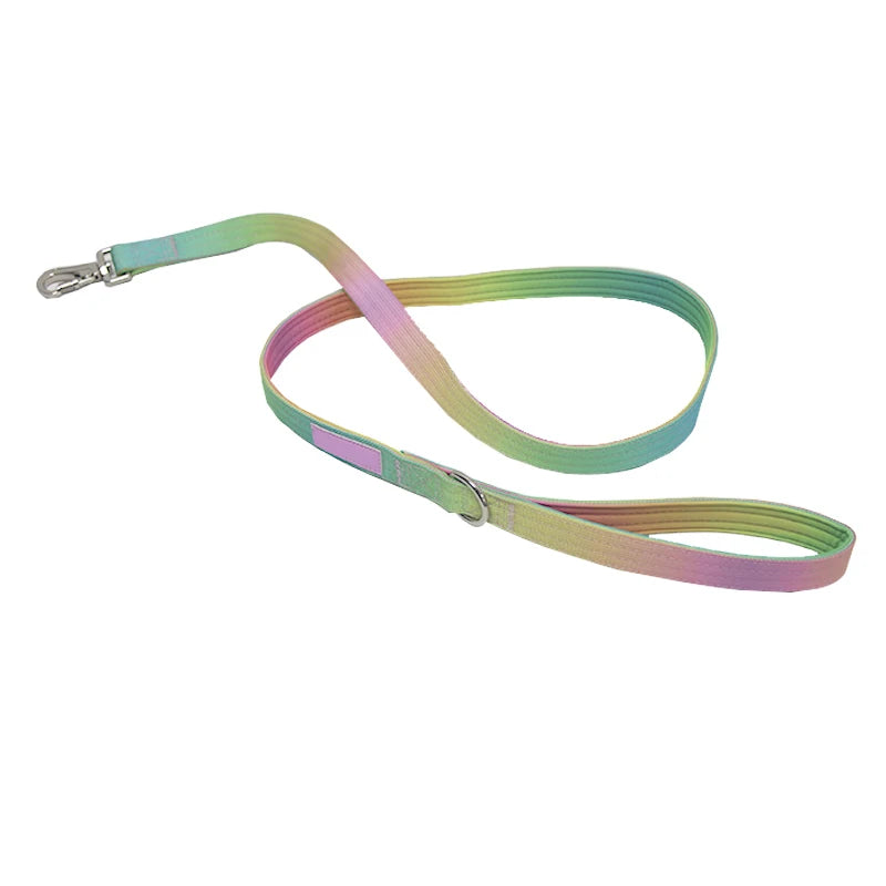 Gradient Vibes Nylon Wide Handled Pet Collar and Leash Set