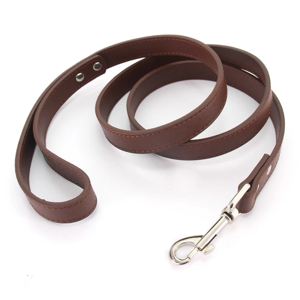 Color Pop Basics Leather Leash Lead
