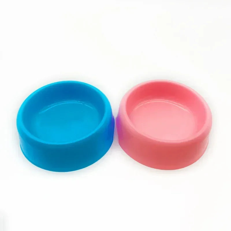 Color Pop Eco Friendly Pet Bowl