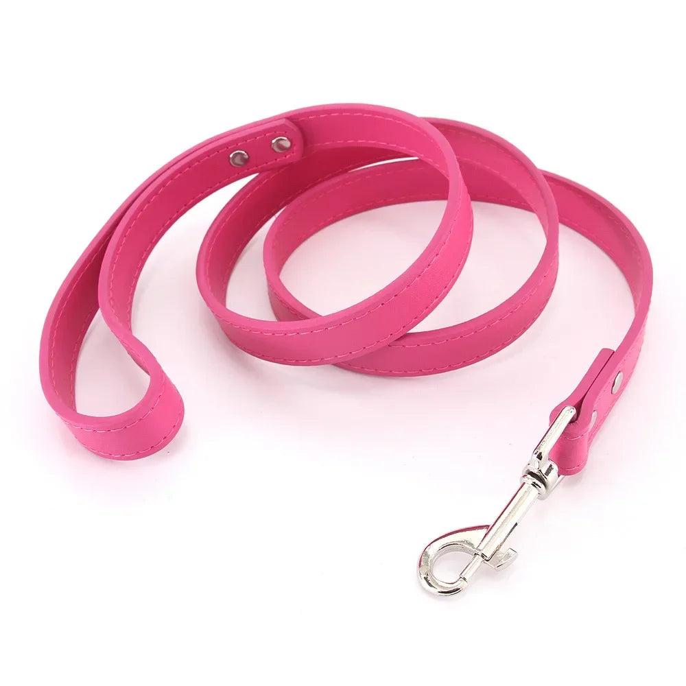 Color Pop Basics Leather Leash Lead