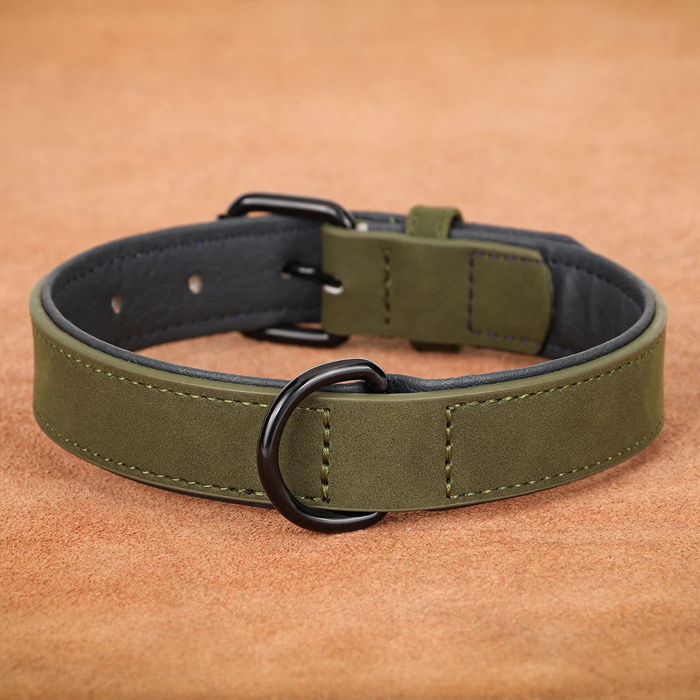 Durable Soft Padded Leather Dog Collar