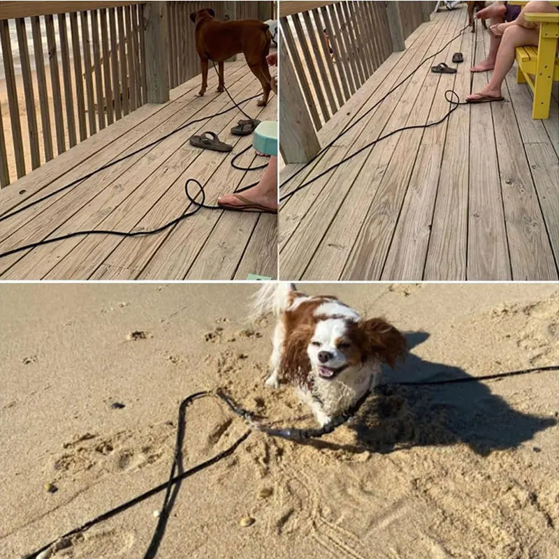 Heavy Duty Long Line Rope Training Dog Leash Lead