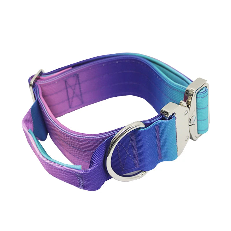Gradient Vibes Nylon Wide Handled Pet Collar and Leash Set