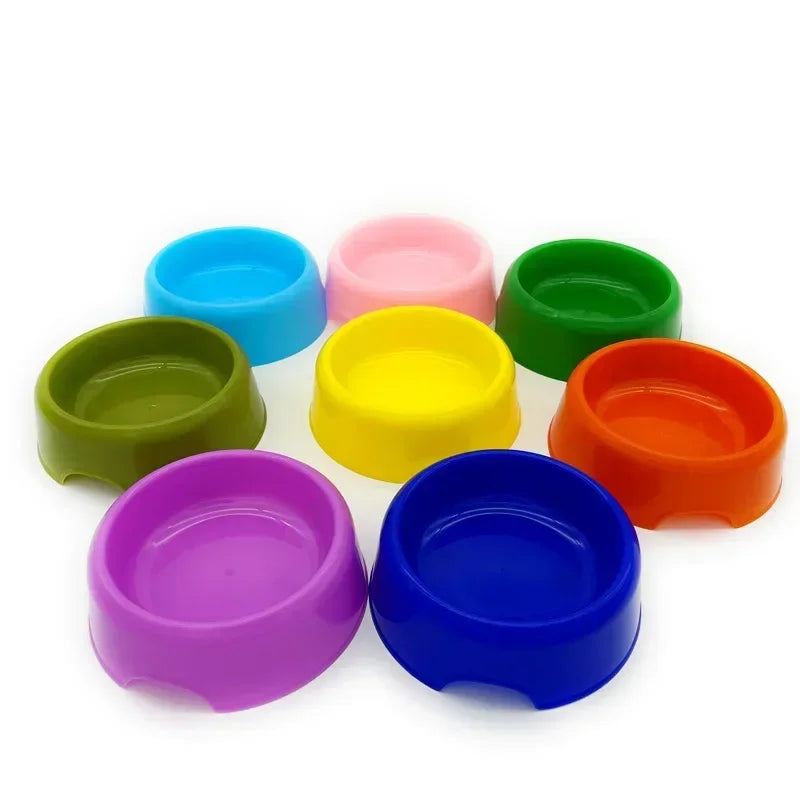 Color Pop Eco Friendly Pet Bowl