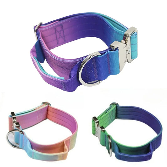 Gradient Vibes Nylon Wide Handled Pet Collar and Leash Set