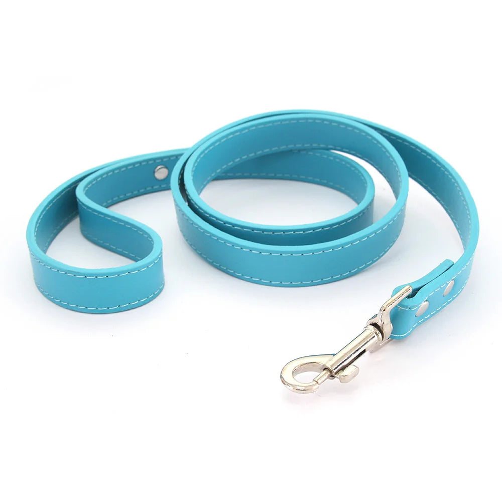 Color Pop Basics Leather Leash Lead