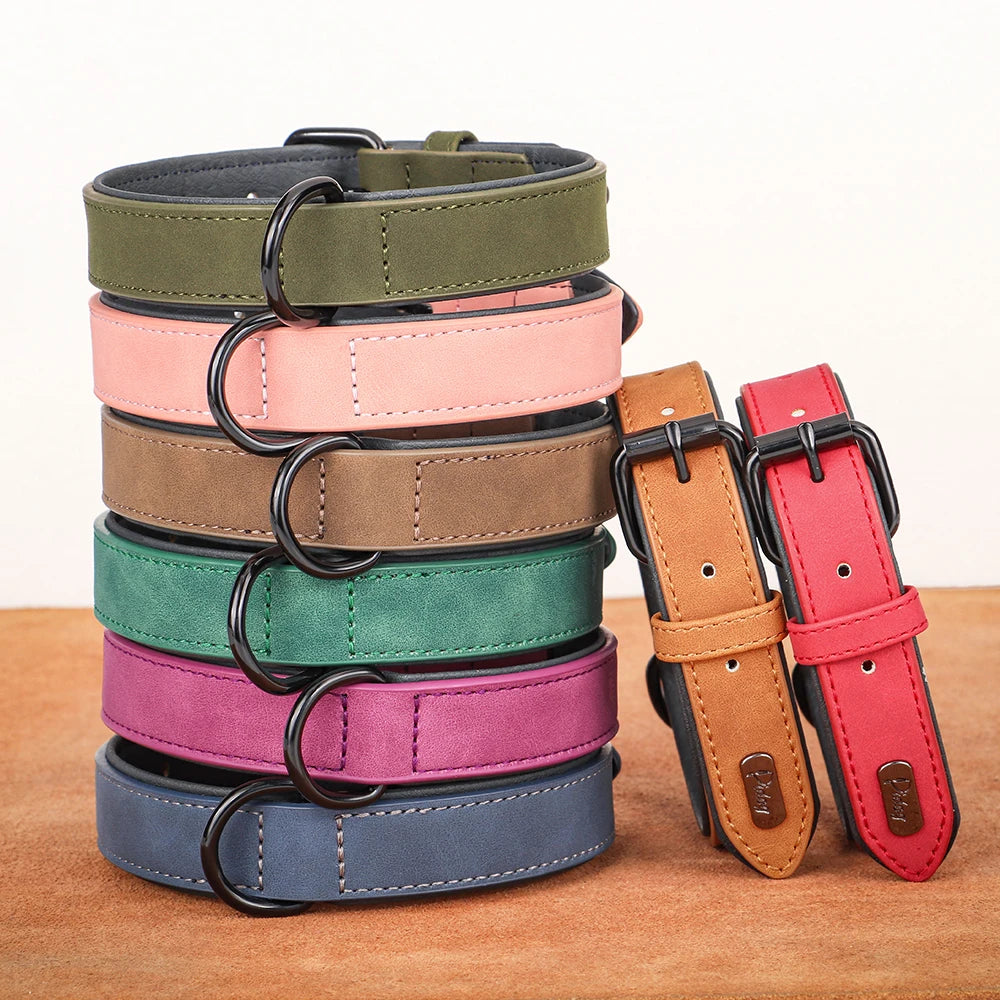 Durable Soft Padded Leather Dog Collar
