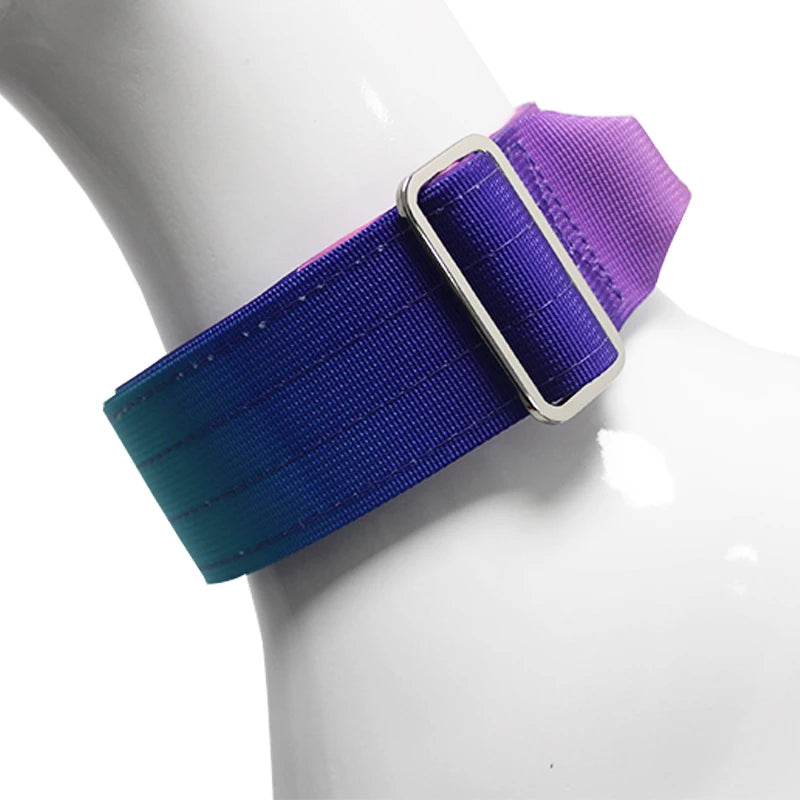 Gradient Vibes Nylon Wide Handled Pet Collar and Leash Set