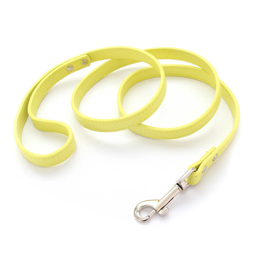 Color Pop Basics Leather Leash Lead