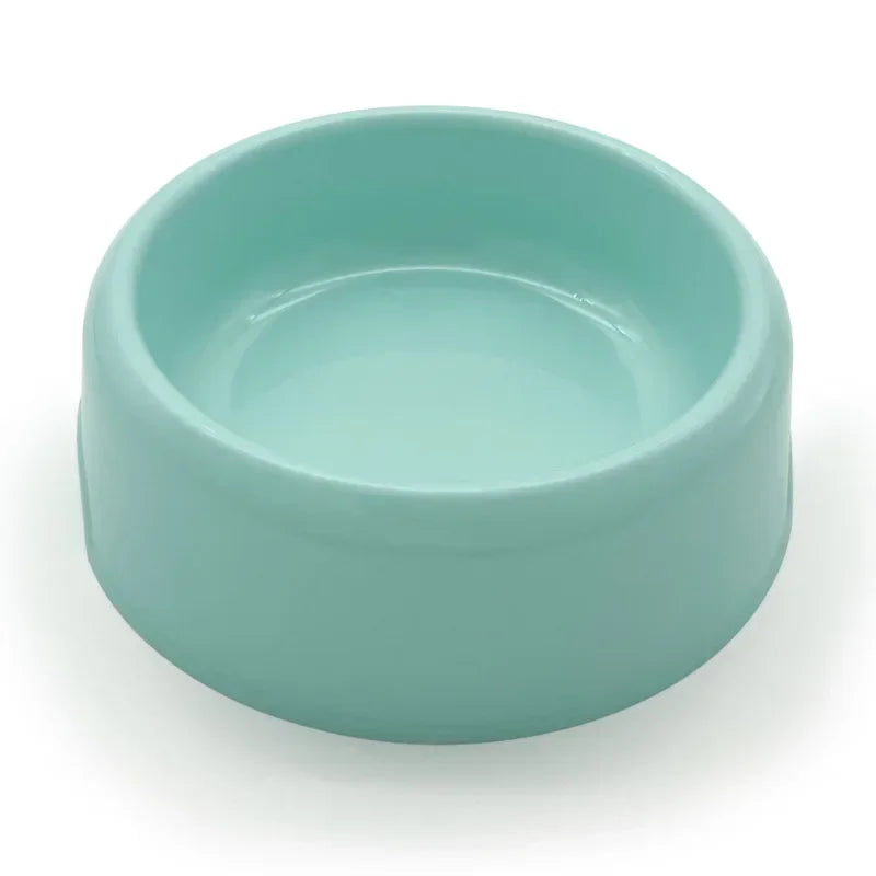 Color Pop Eco Friendly Pet Bowl