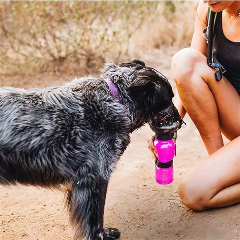 Pet Travel Water Bottle Bowl