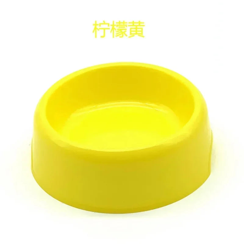 Color Pop Eco Friendly Pet Bowl