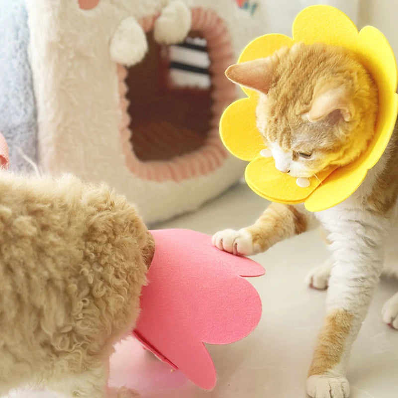 Pet Cat Recovery Protection Collar Neck Cone