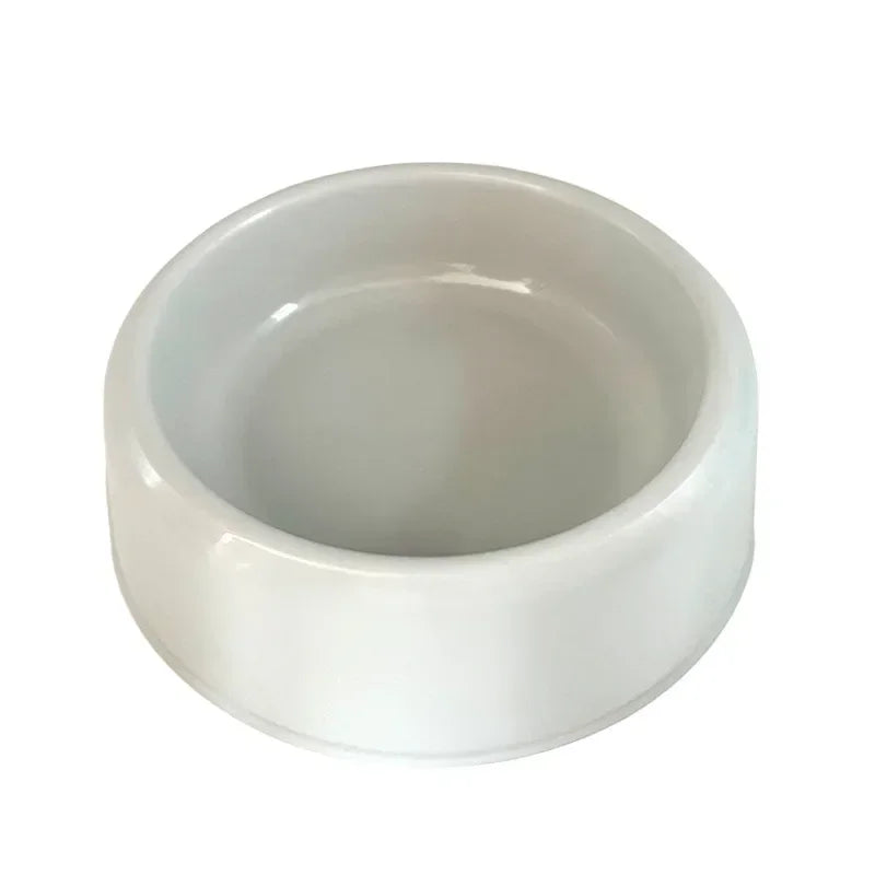 Color Pop Eco Friendly Pet Bowl