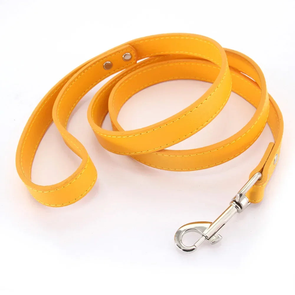 Color Pop Basics Leather Leash Lead