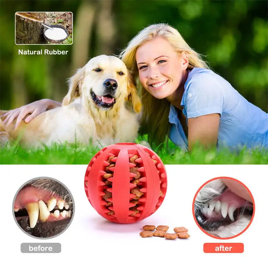 Interactive Slow Feed Rubber Pet Ball