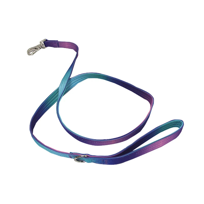 Gradient Vibes Nylon Wide Handled Pet Collar and Leash Set
