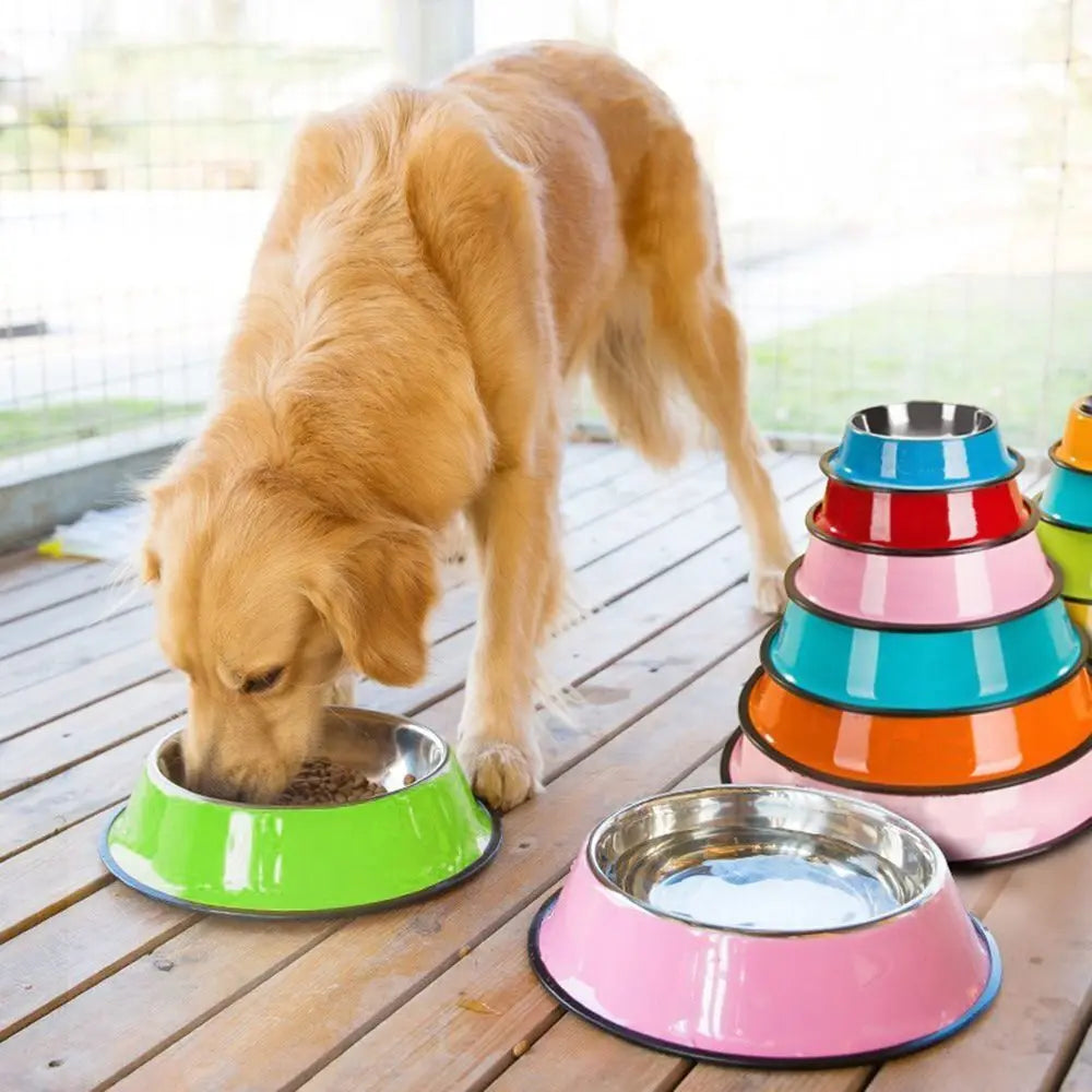 Stainless Steel Anti-Skid Pet Bowls