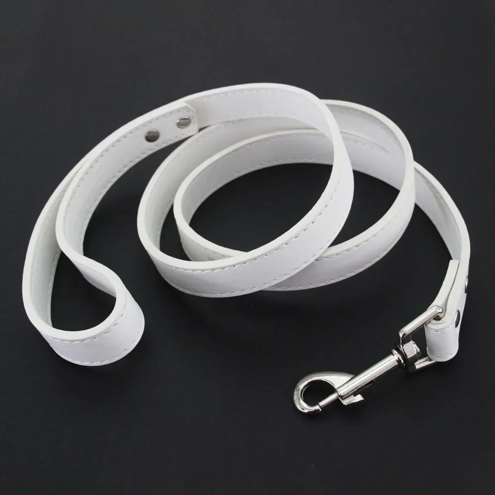 Color Pop Basics Leather Leash Lead