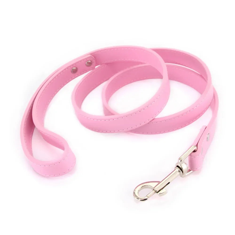 Color Pop Basics Leather Leash Lead