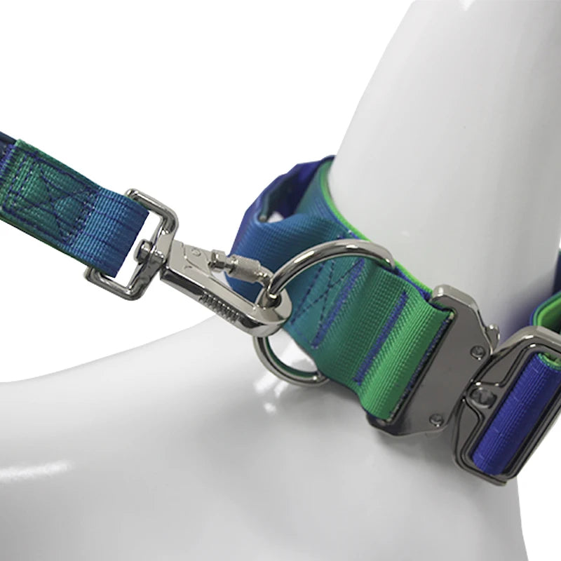 Gradient Vibes Nylon Wide Handled Pet Collar and Leash Set
