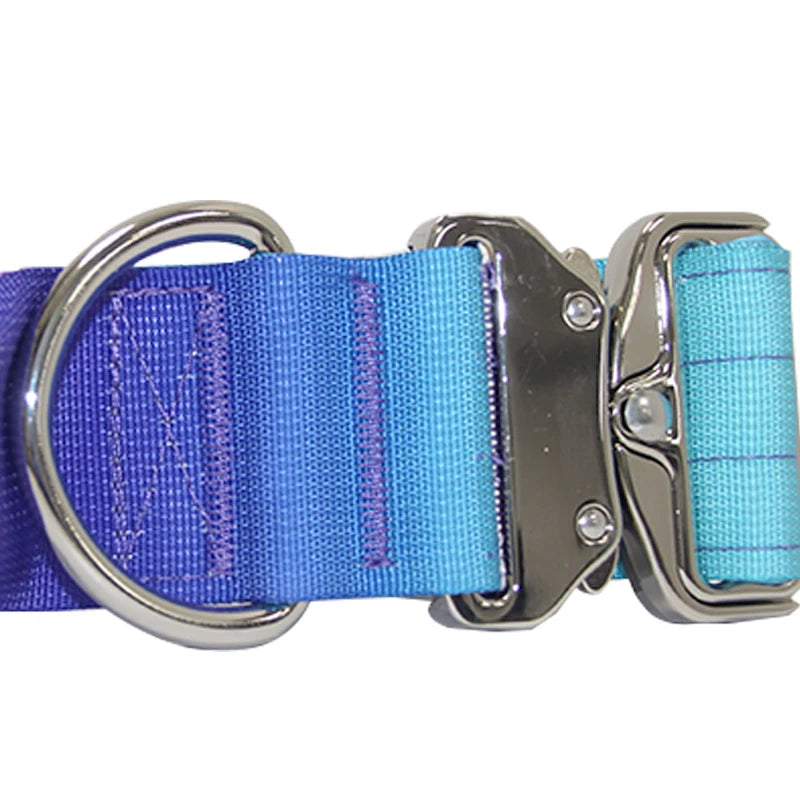 Gradient Vibes Nylon Wide Handled Pet Collar and Leash Set