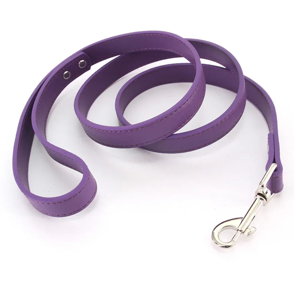 Color Pop Basics Leather Leash Lead