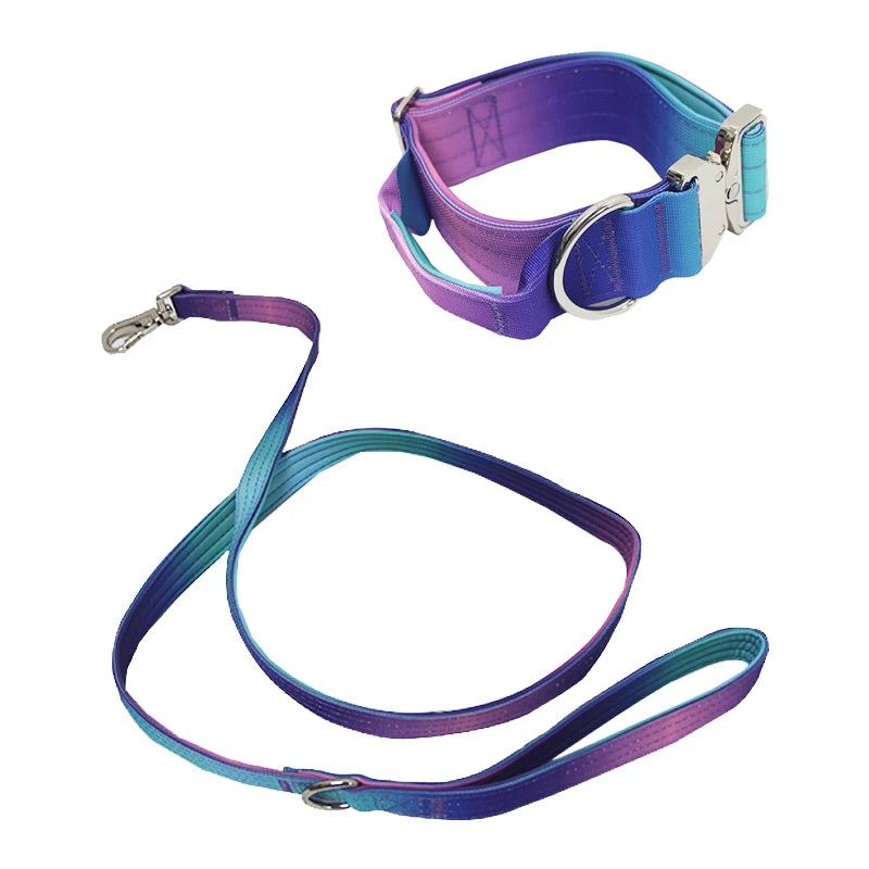 Gradient Vibes Nylon Wide Handled Pet Collar and Leash Set