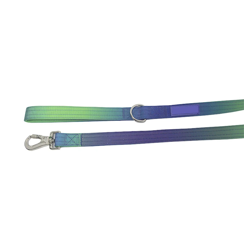 Gradient Vibes Nylon Wide Handled Pet Collar and Leash Set