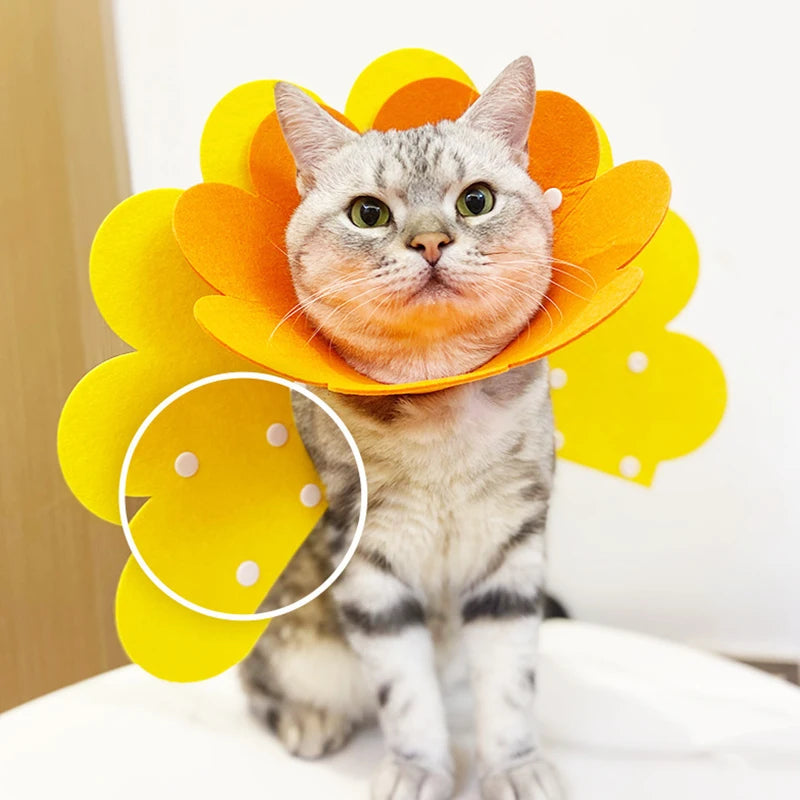 Pet Cat Recovery Protection Collar Neck Cone