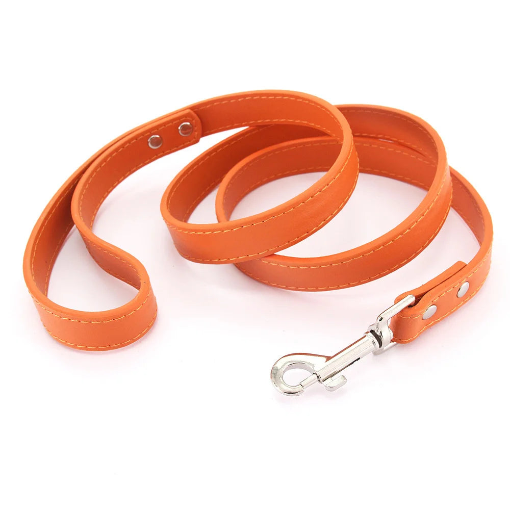 Color Pop Basics Leather Leash Lead