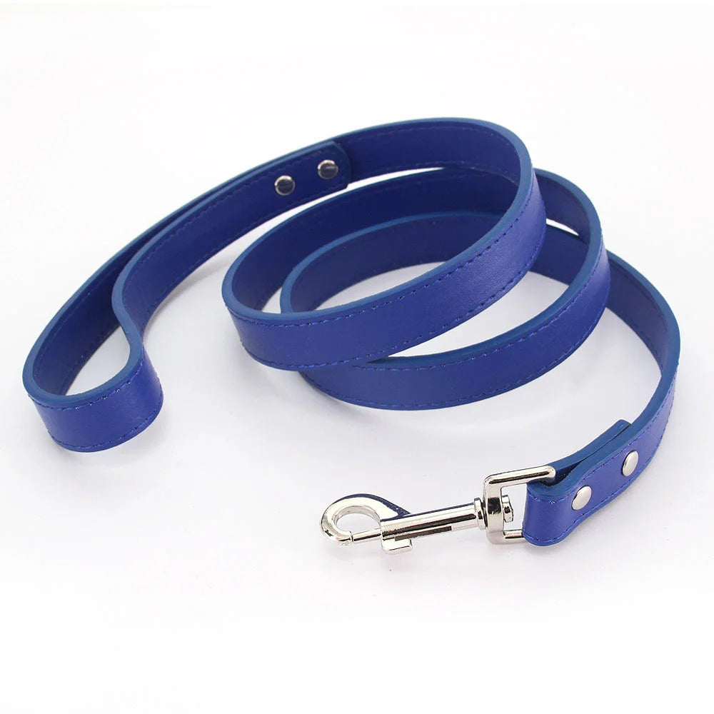 Color Pop Basics Leather Leash Lead